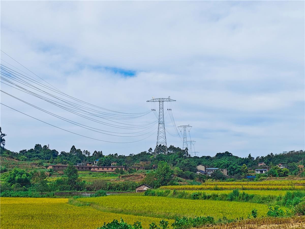 ŵ88(й½)޹˾ - ٷվ